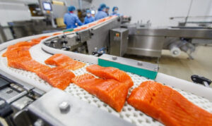 5 Things to Keep in Mind When Buying Seafood Equipment
